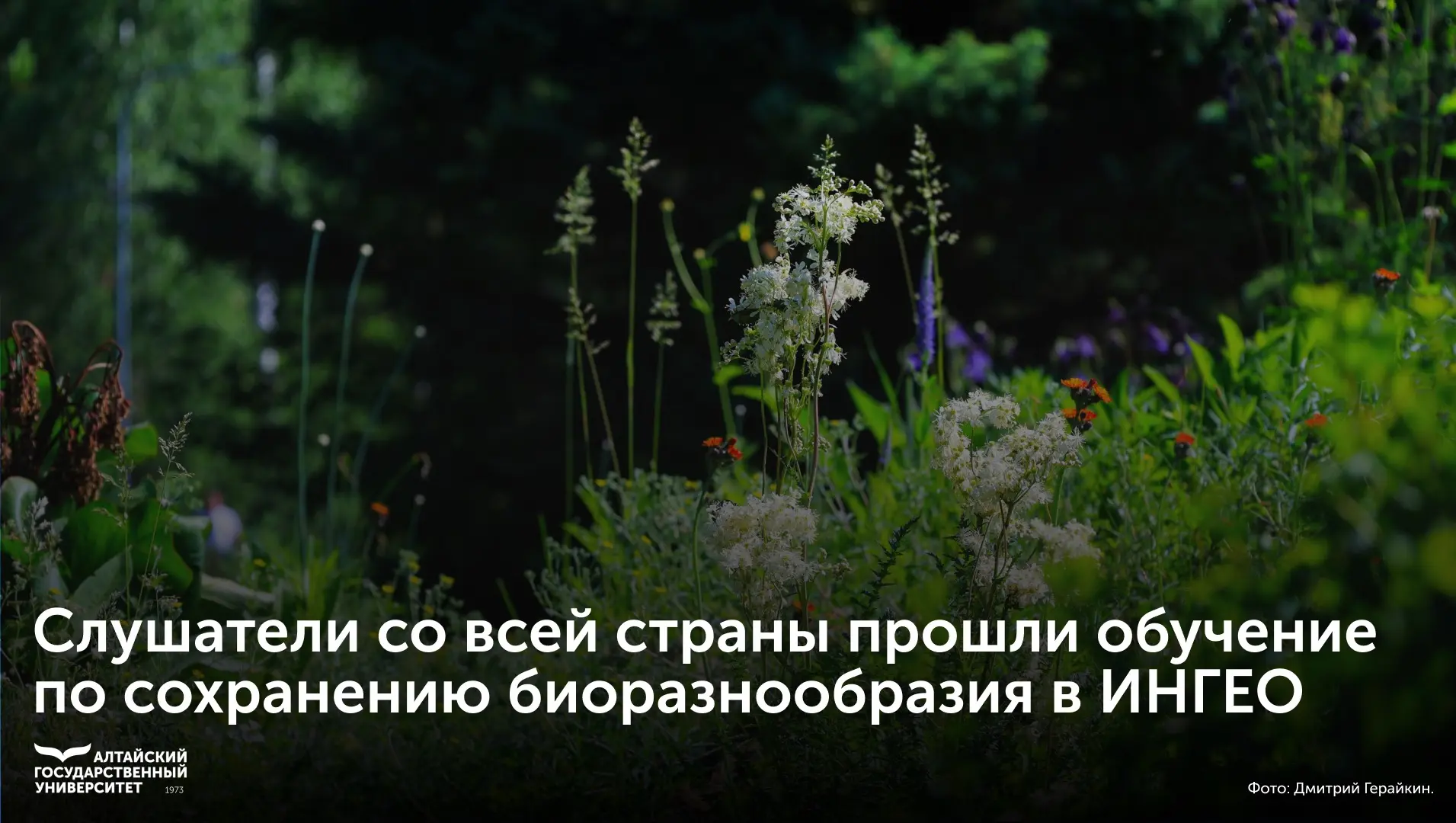 🌳 Слушатели со всей страны прошли обучение по сохранению биоразнообразия в институте географии.

Ме
