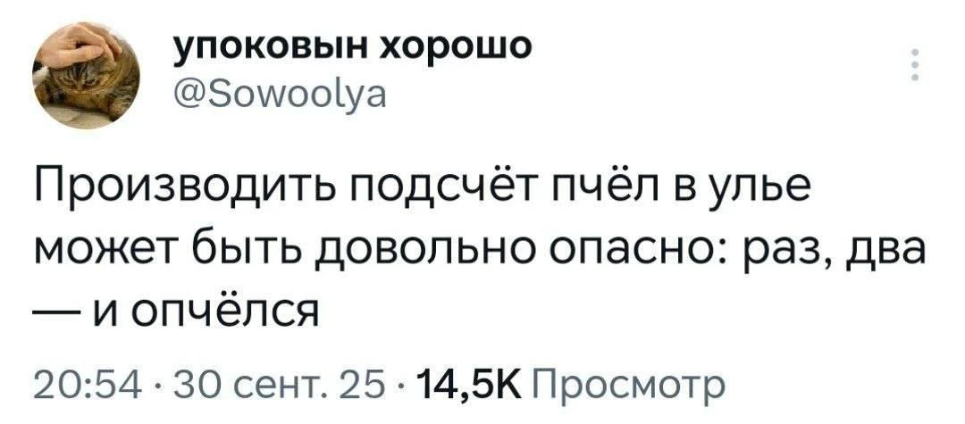 @brokoledu | VPN Брокколя | Kartina HD