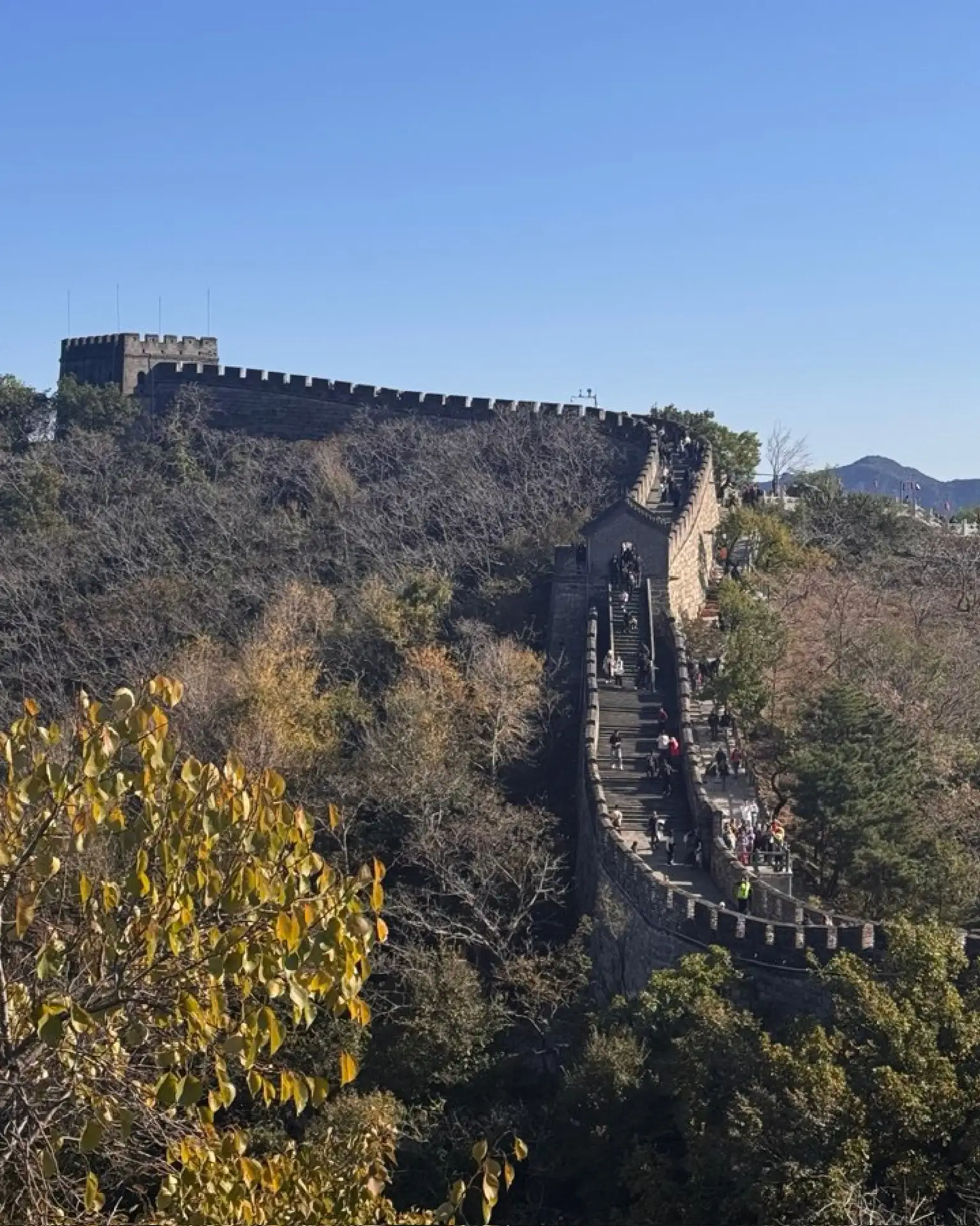 🇨🇳 ДВА ЛИЦА КИТАЯ ЗА 8 ДНЕЙ
🏯 Императорский Пекин + 🌆 футуристичный Шанхай

Если хотите впервые 