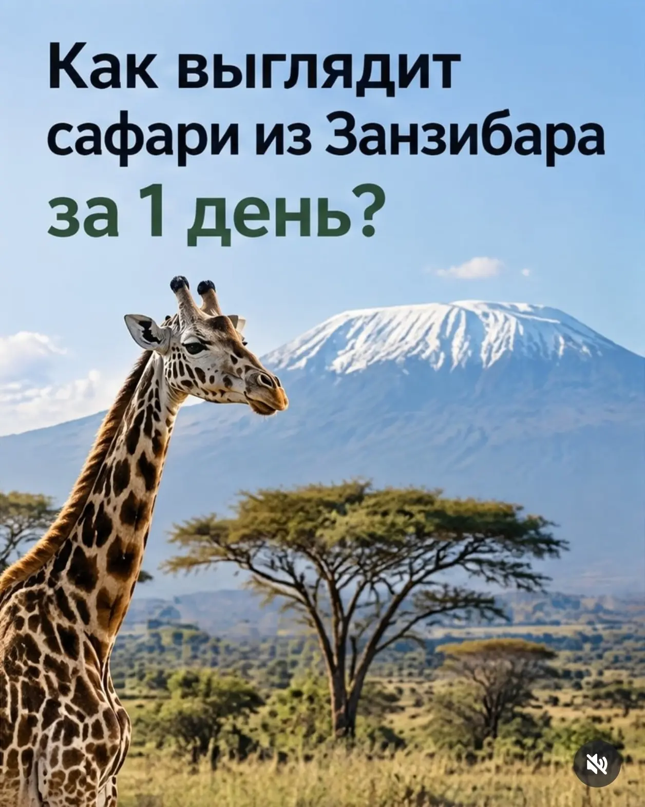 Пакетный тур на Занзибар из Москвы от 160 тыс рублей.