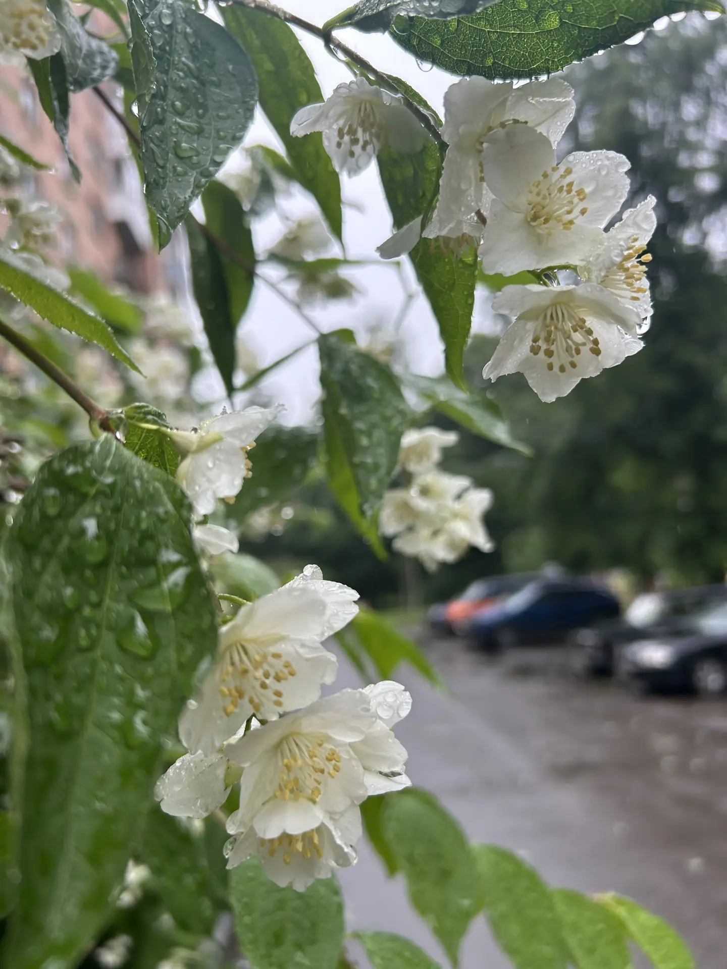 Доброе утро, Кузьмоловский🤗

Сегодня обещают переменную облачность. Местами преимущественно на юге,