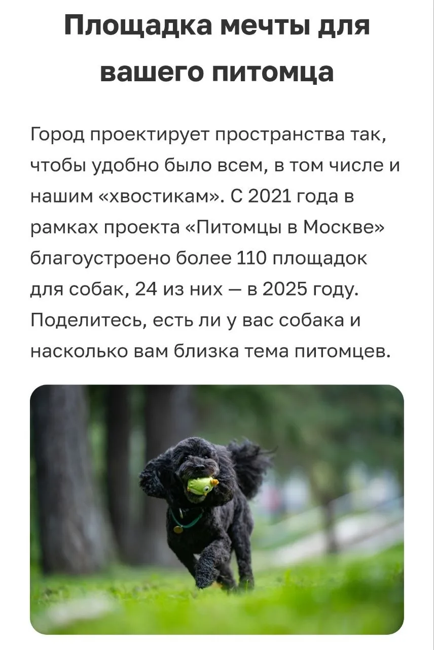 На АГ запустили голосование: предлагают оценить площадки для собак. В третьем выбирают ...
