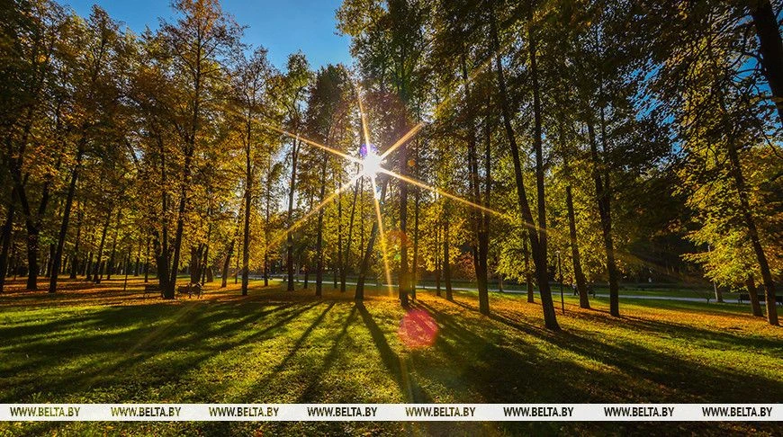 🍃Солнечный Минск и яркие краски осени в объективе фотографа БЕЛТА📸