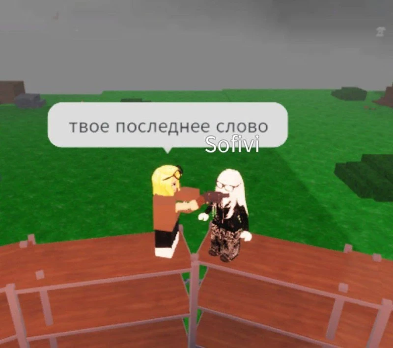 Когда бро тебя довёл: