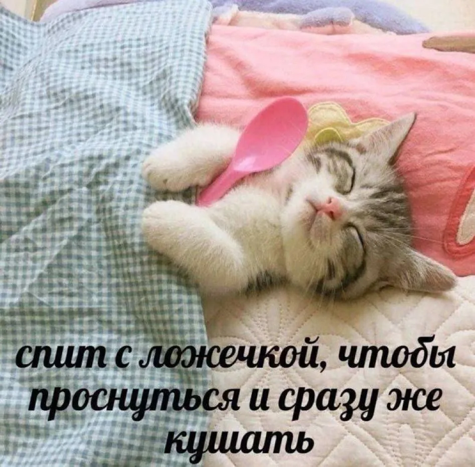 С субботой, дорогие☕
Хороших выходных!

Сегодня мамин день рождения празднуем,  почти вся семья - ра