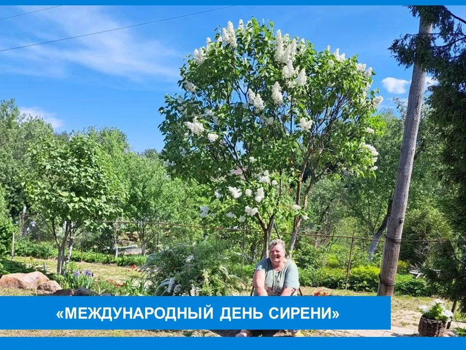 🌸🌸🌸«Международный день Сирени»