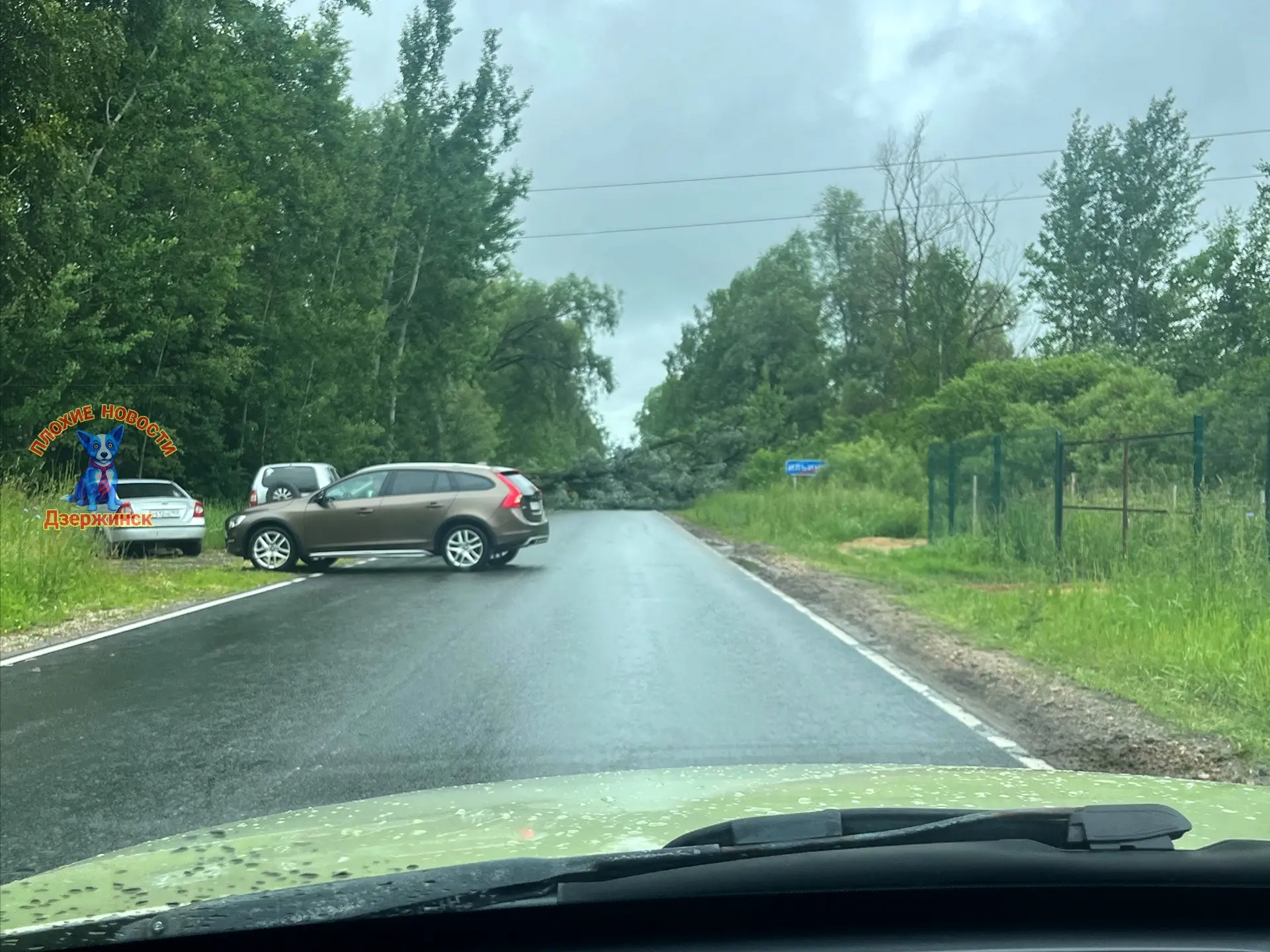 В Володарском округе, на Золинском шоссе (в районе конно-спортивного клуба), на дорогу ...