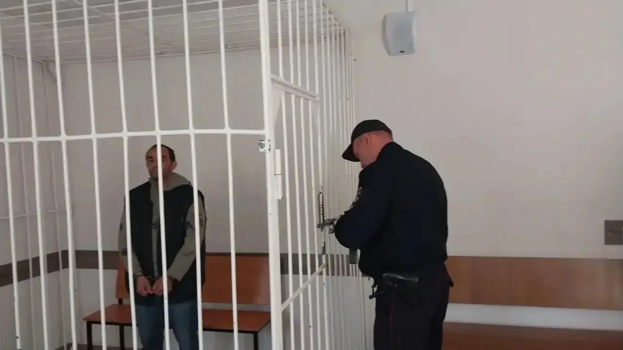 ⚖️ Суд на два месяца арестовал водителя самосвала HOWO, устроившего смертельное ДТП с 1...