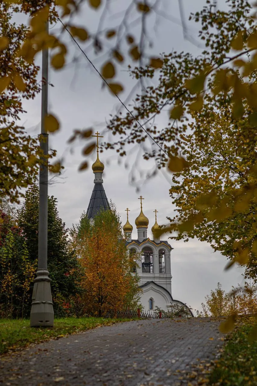 В Митинском парке