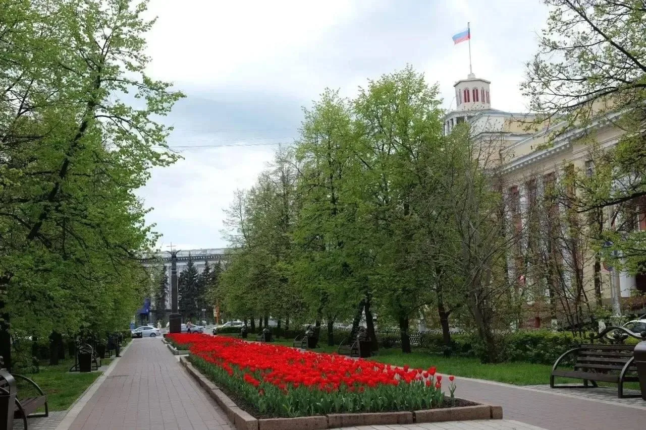 😍Всем срочно любоваться тюльпанами   Посмотрите, какая красота в центре города. Все цветет и пахнет🌸