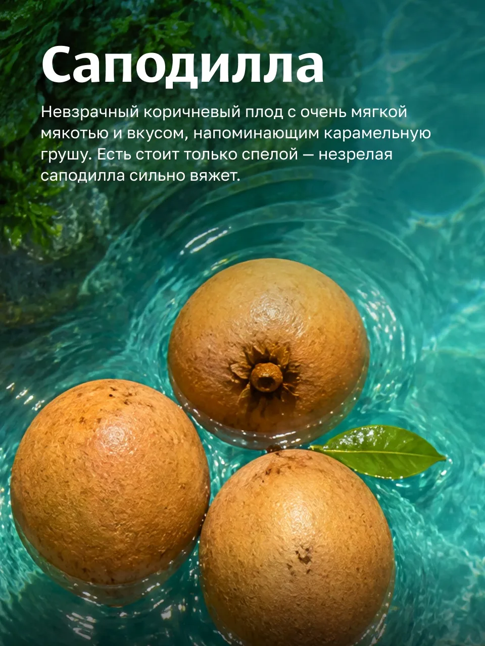 Что привезти из Вьетнама, кроме загара и фото в телефоне?