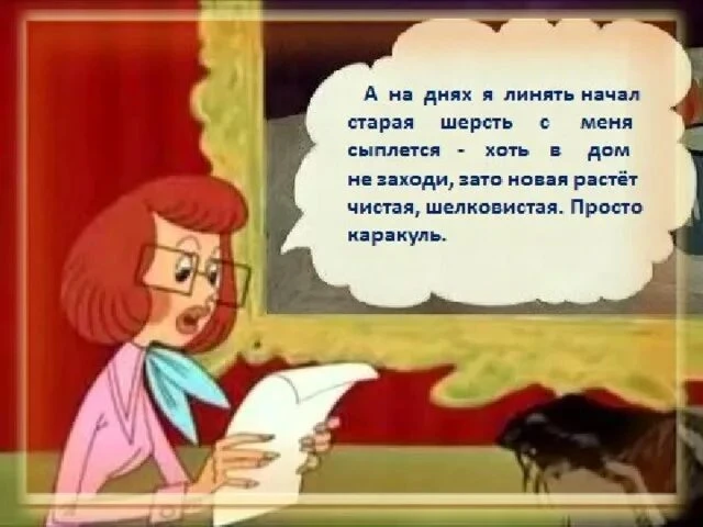 Сезонные линьки у собак: естественный процесс и советы по уходу