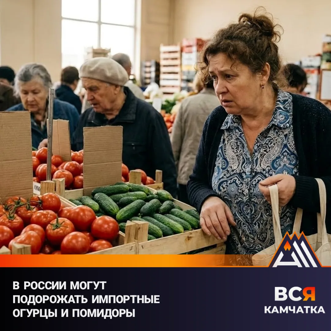 Ограничение коснётся привозных огурцов и помидоров