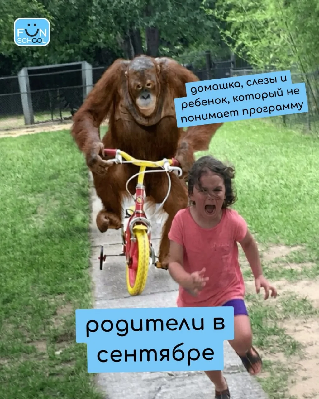 Скоро — во всех домах страны 🍿