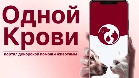 Автономная некоммерческая организация «Единый портал повышения доступности ветеринарной...