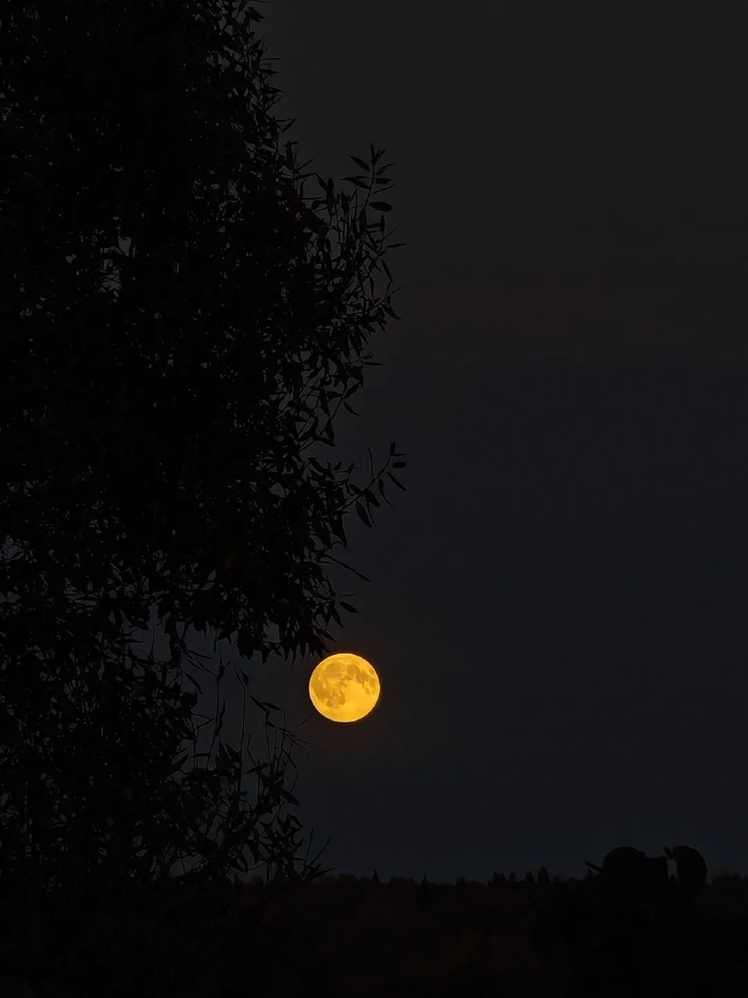Доброй ночи, Пушкино. 🌝