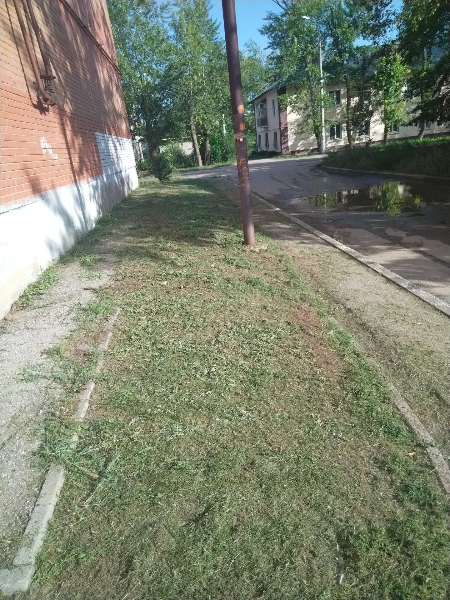 16.08.2026 Плановый покос травы по адресу: ул.Ватутина, д.20
