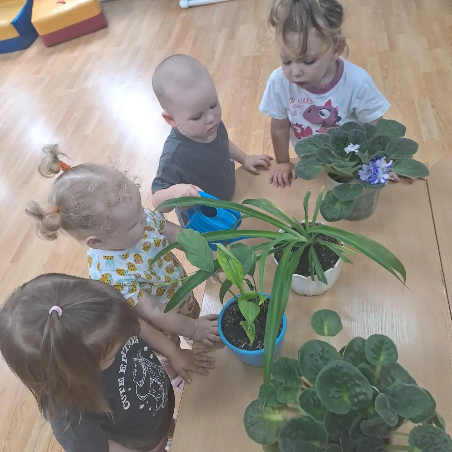 Маленькие садоводы в нашем детском саду! 🌿
В каждой группе стало по-настоящему уютно и зелено! Комн