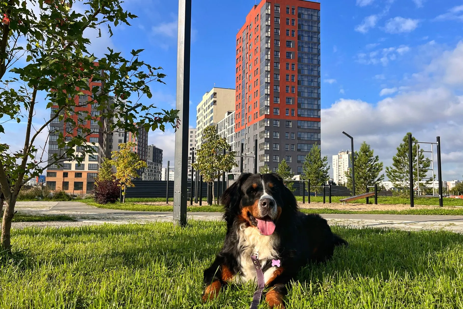 🐾 Ваши пушистые соседи

Друзья, в пятницу хочется настроиться на выходные и поговорить о приятном. 