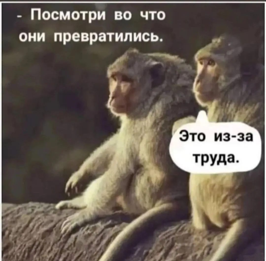 Всем доброе выходное утро😁