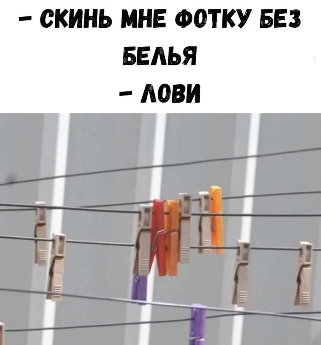 🤣Юмор в картинках