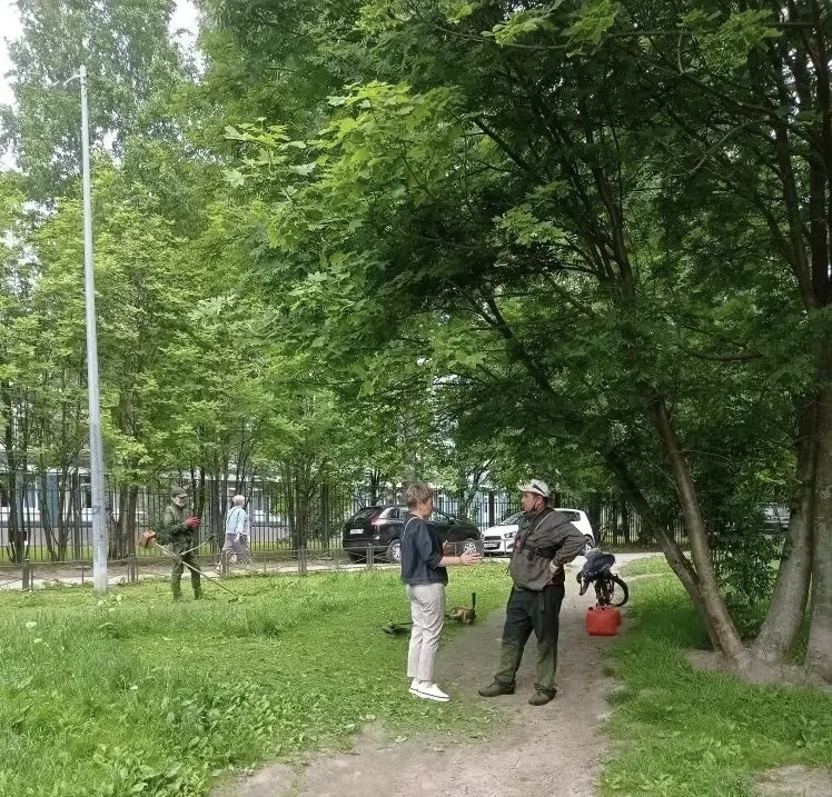 Лето, составлен график покосов  на территории ЗНОП МЗ (зеленых насаждений общего пользования местног