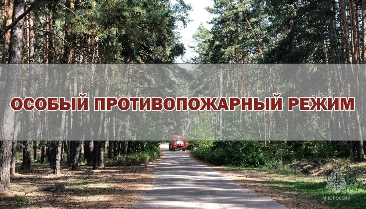 Особый противопожарный режим! Напоминаем, что с 30 апреля по 12 июня 2026 года на всей ...