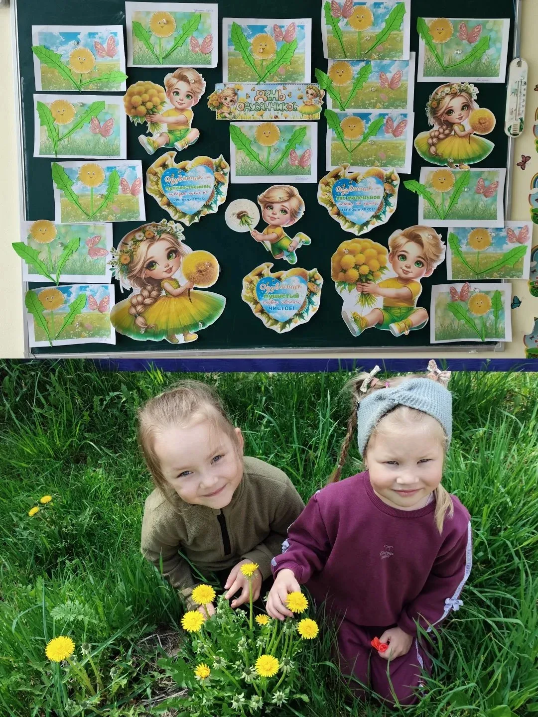🌼☀️13 мая в нашем детском саду прошёл тематический День одуванчика — удивительное собы...