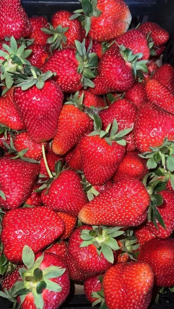 🍓СРОЧНЫЕ ЯГОДНЫЕ НОВОСТИ 🍓🌈
