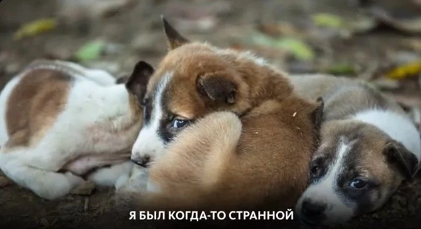 #Летотвоихвозможностей #ВыборТулы