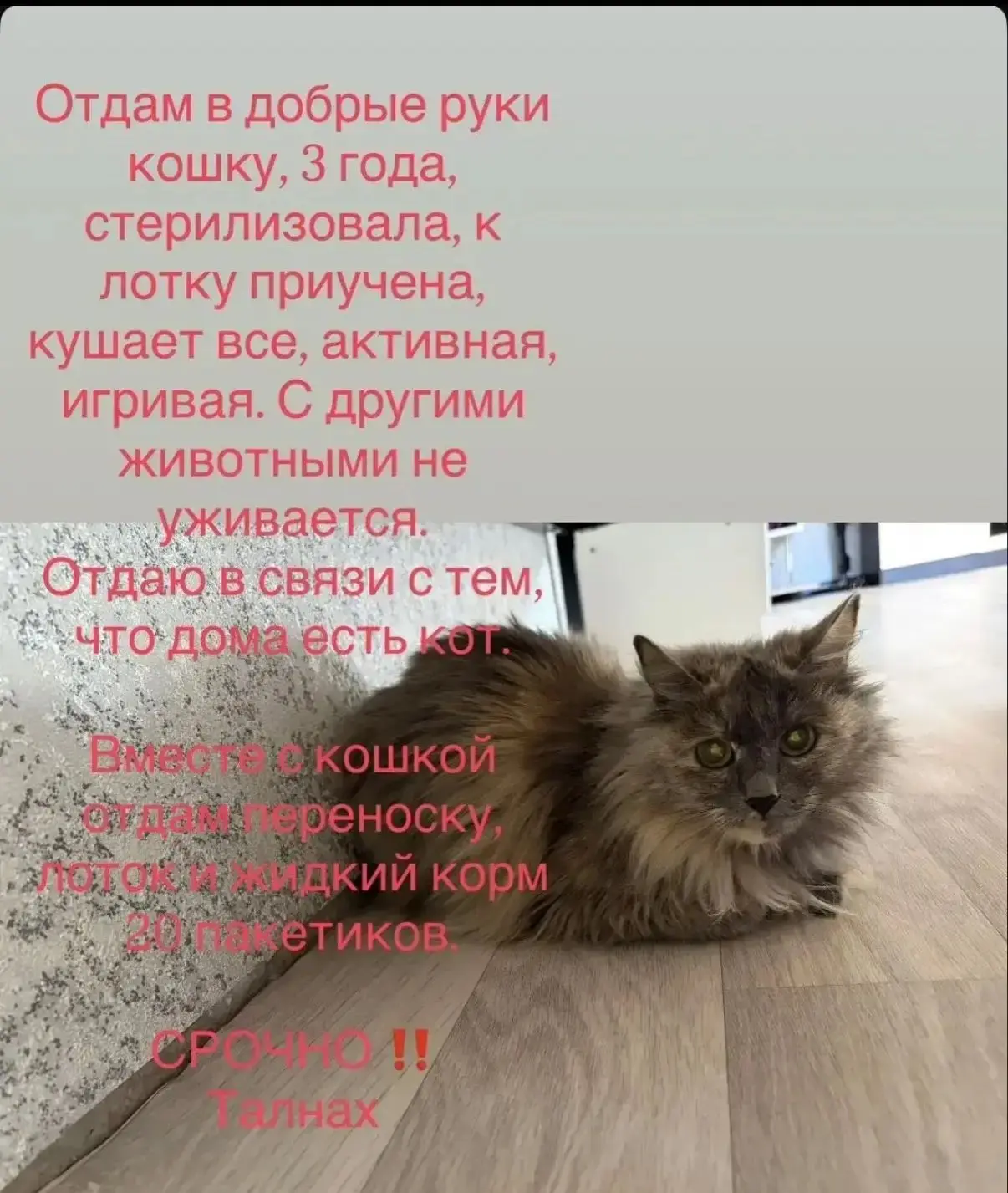 Обращаться по телефону