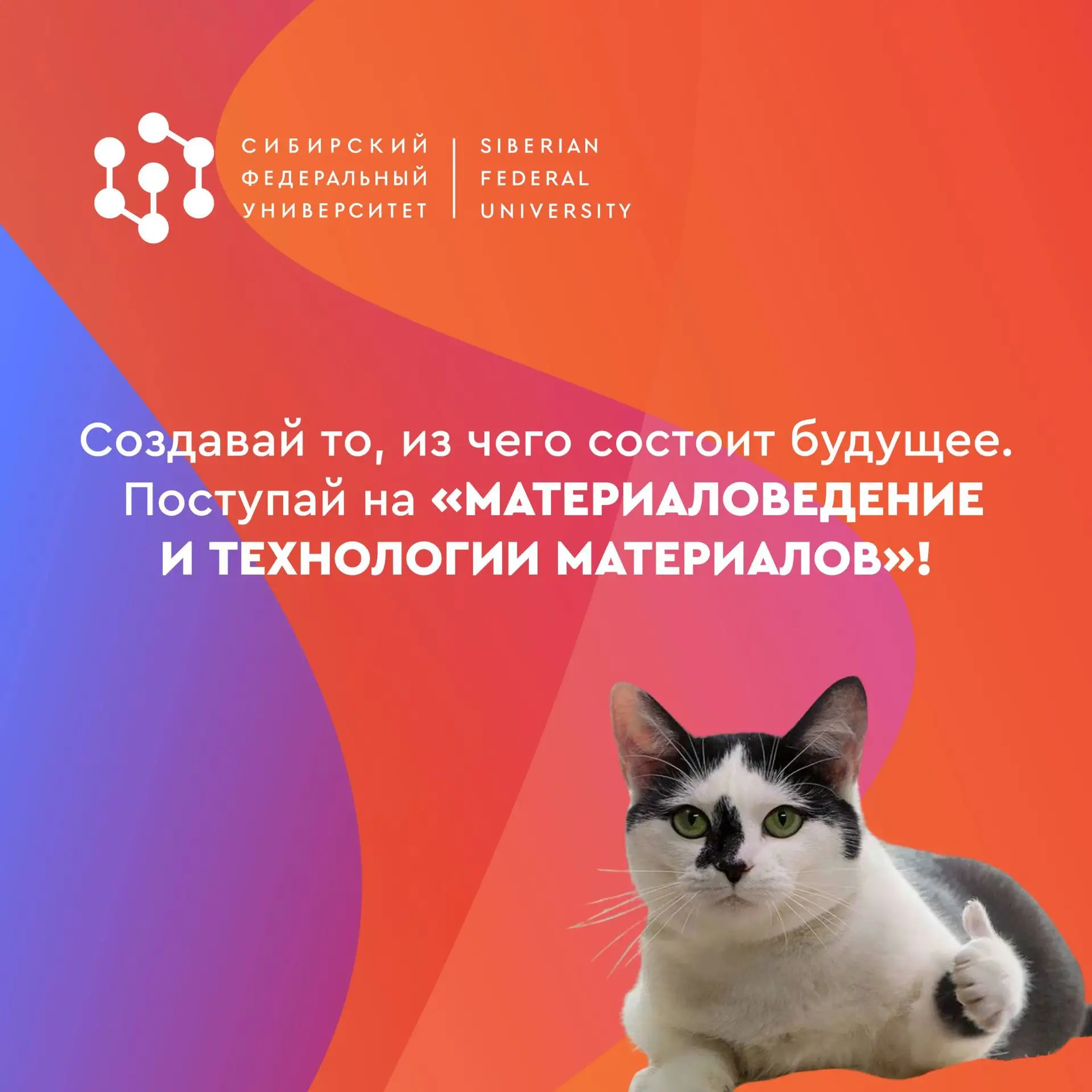 Ещё выбираешь, куда подать документы? Обрати внимание на направление, где отличные шансы поступить н