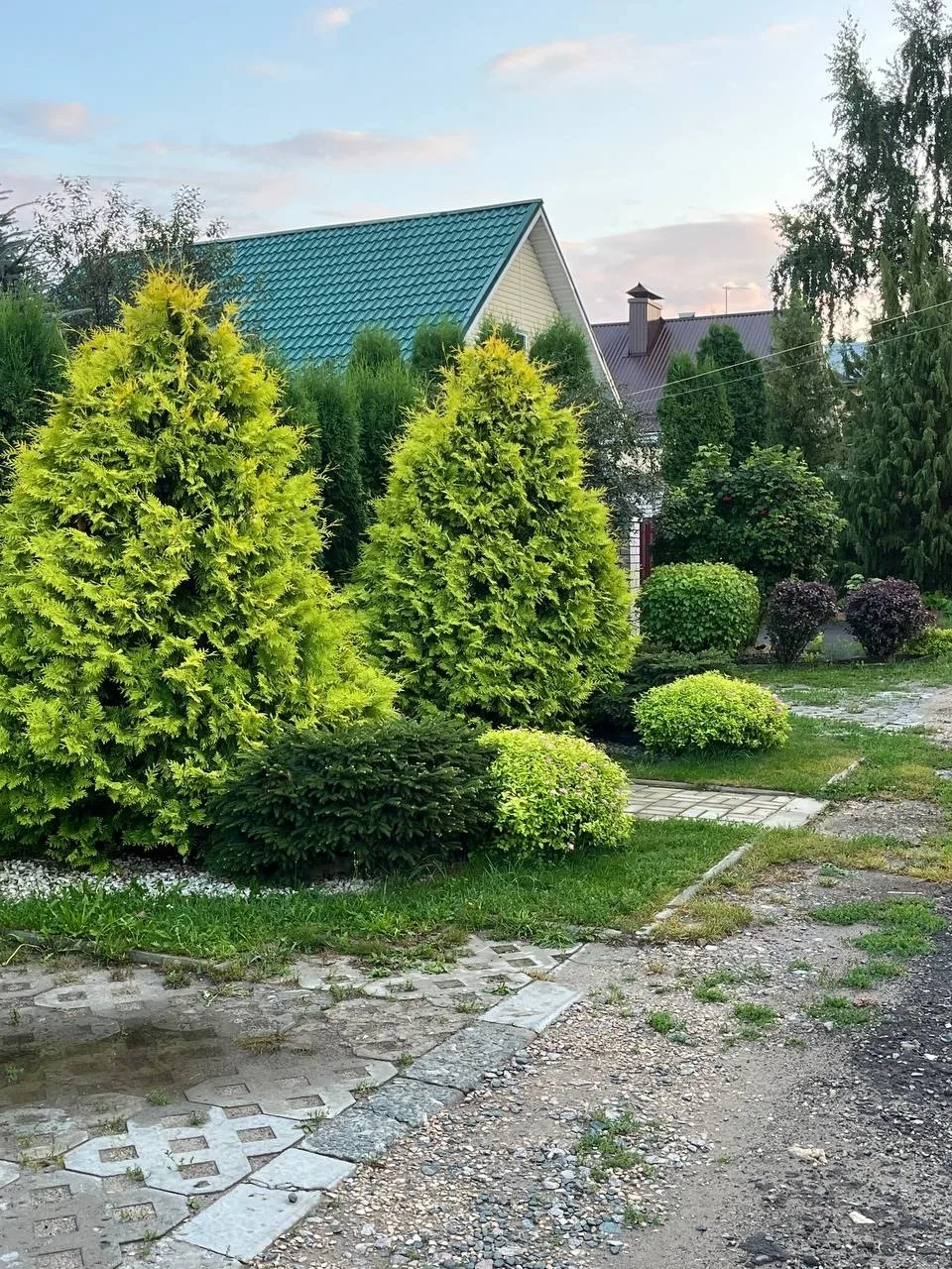 Поро эр, йолташна-влак☀️

Таче кумылда могайрак? Кечыда кузе эртараш шонеда?

👇Комментарийыш возыза
