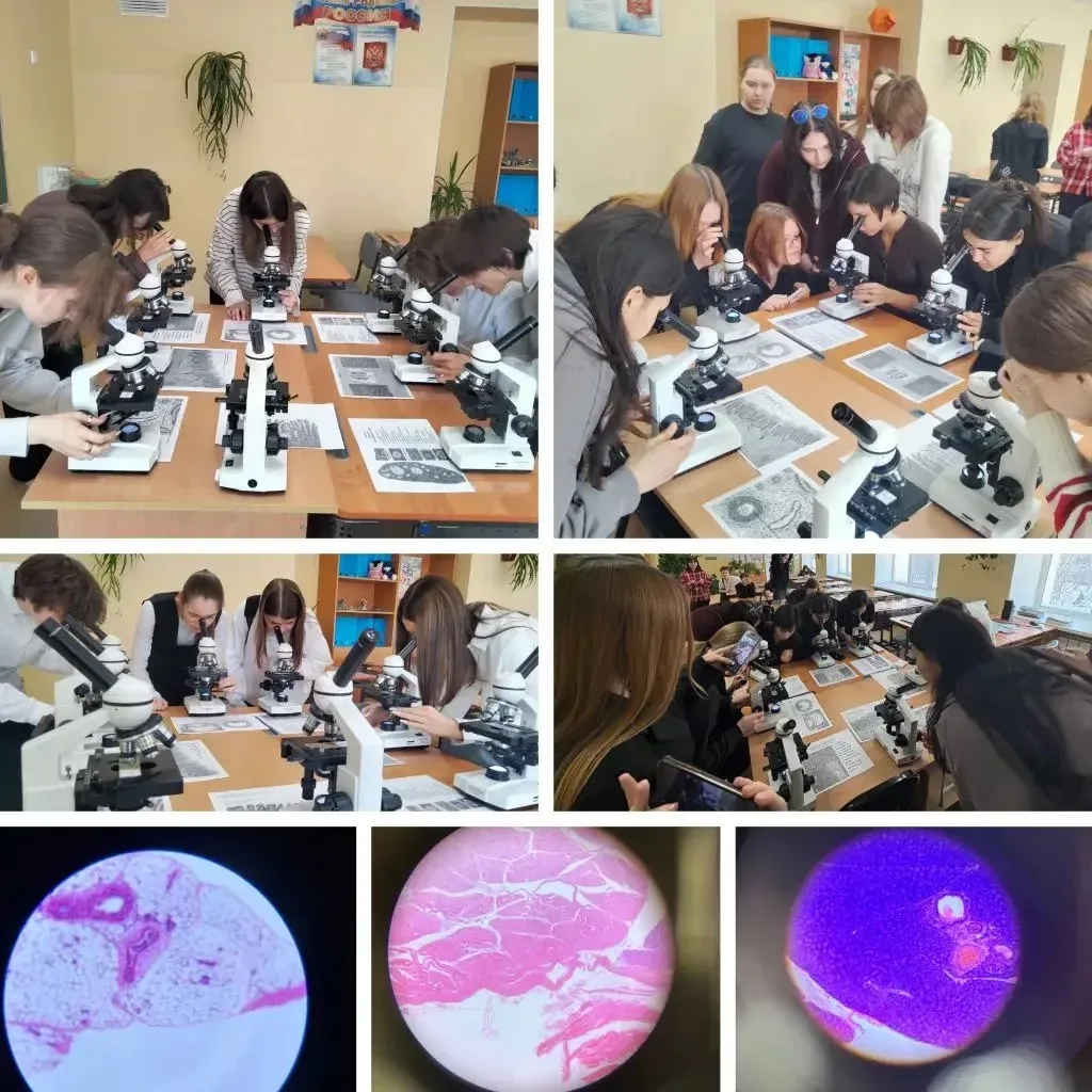 🧬🌎🧪Итоги Недели естественно-научного цикла: как это было.   Друзья, в нашей школе кипела настоящая н