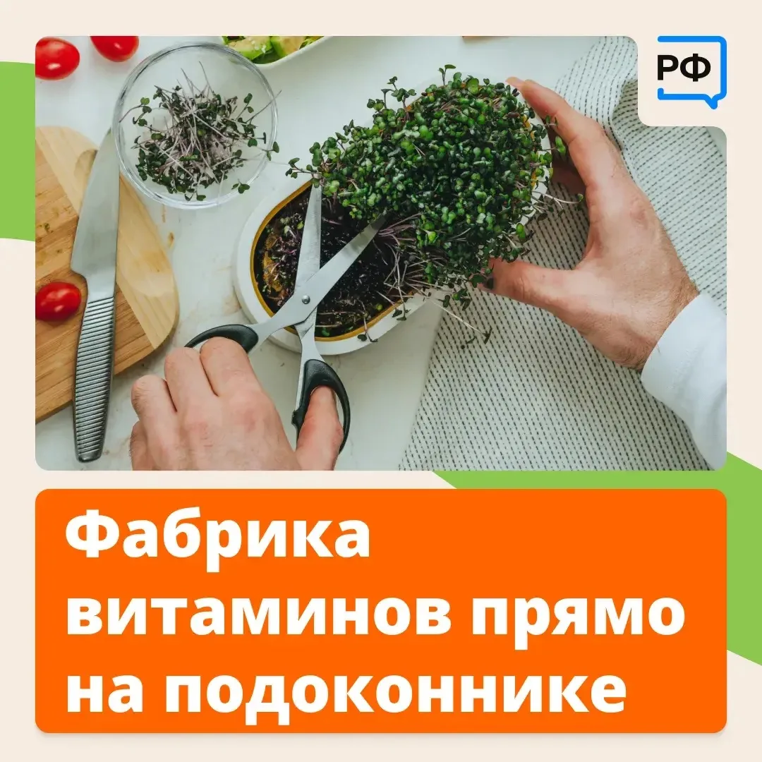 🌿 От микрозелени бывает макропольза!