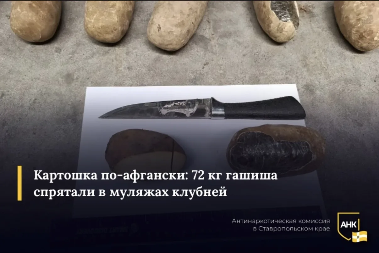 Сотрудники погранслужбы и таможенники Узбекистана пресекли поставку крупной партии наркотиков, следо