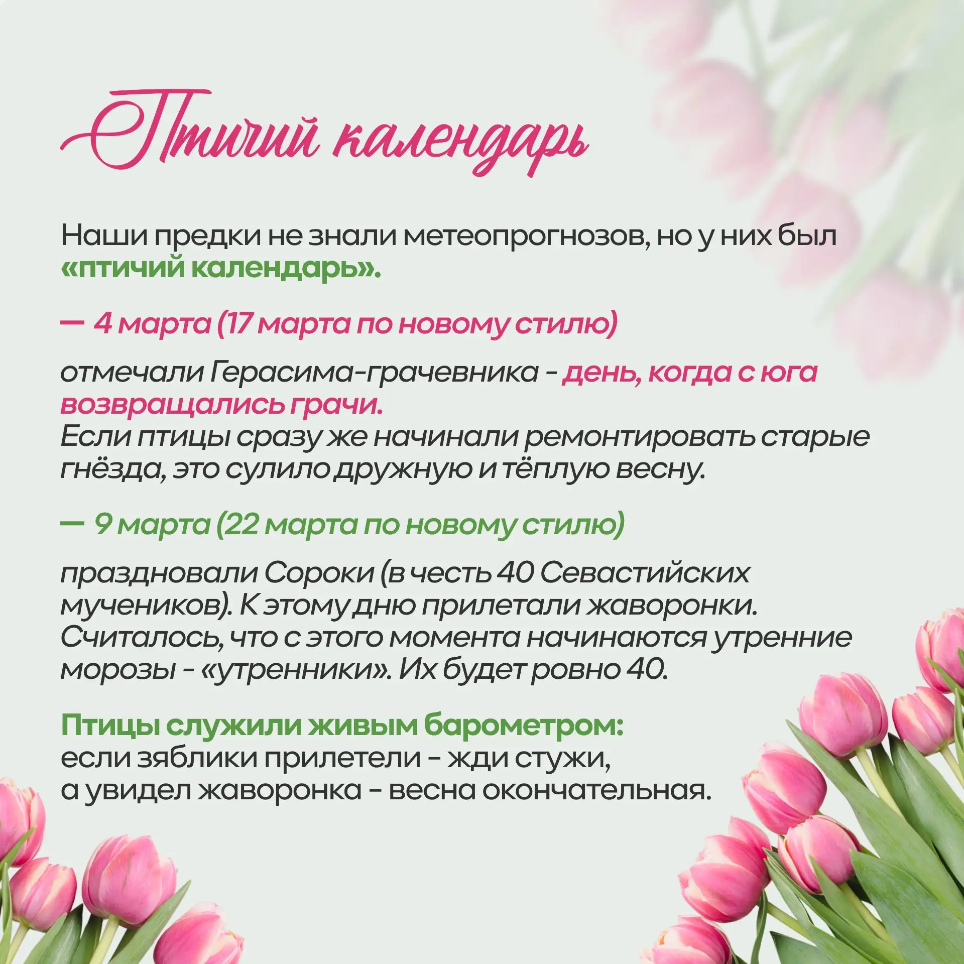 Ура, весна пришла! 🌸🌱  Март — это не просто первый весенний месяц в календаре. Это время, когда прир
