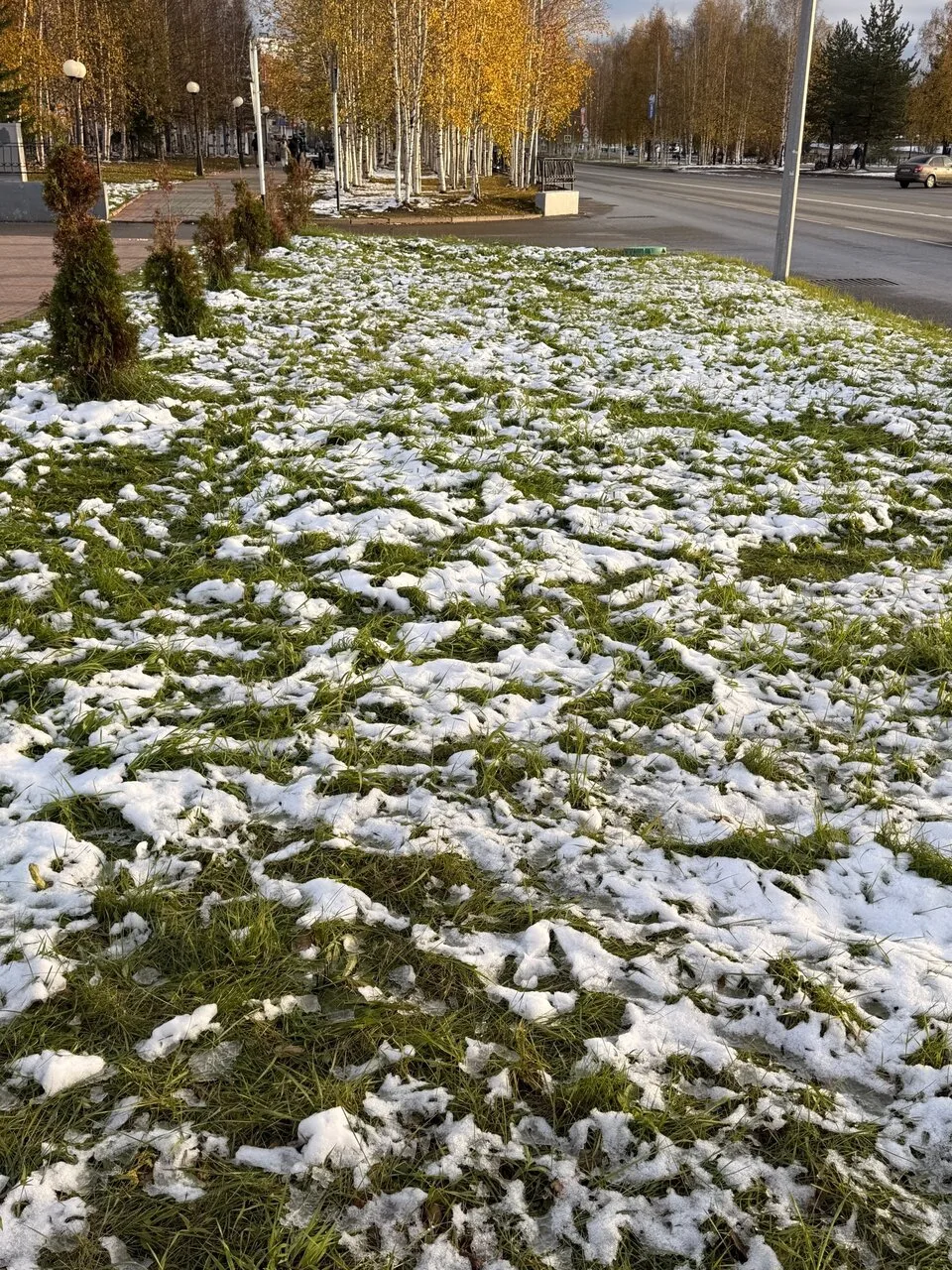 Снег ❄ тает 🫠
