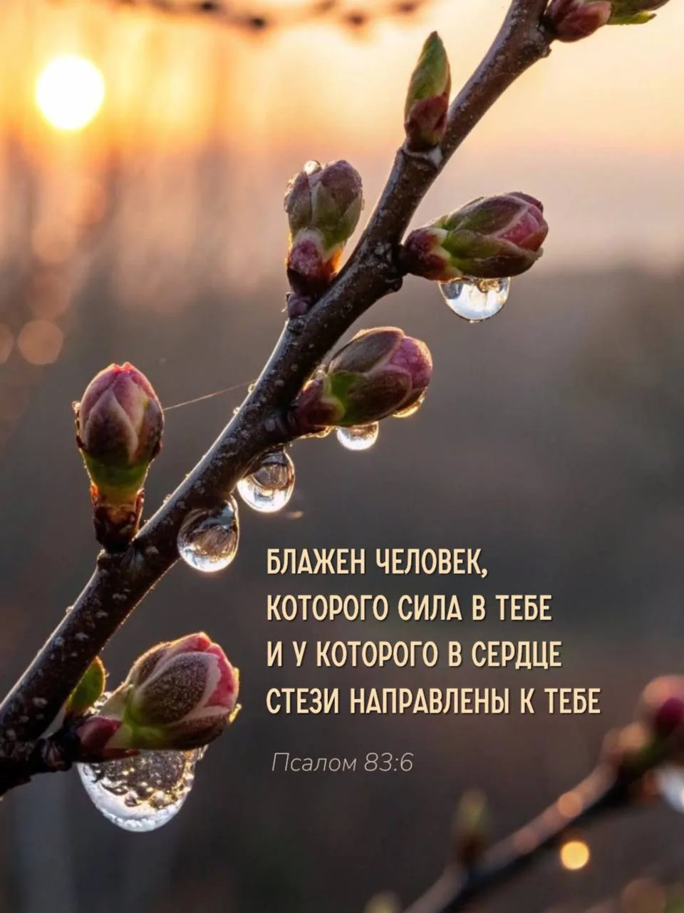 Благословенного дня! С каким настроением проснулись?