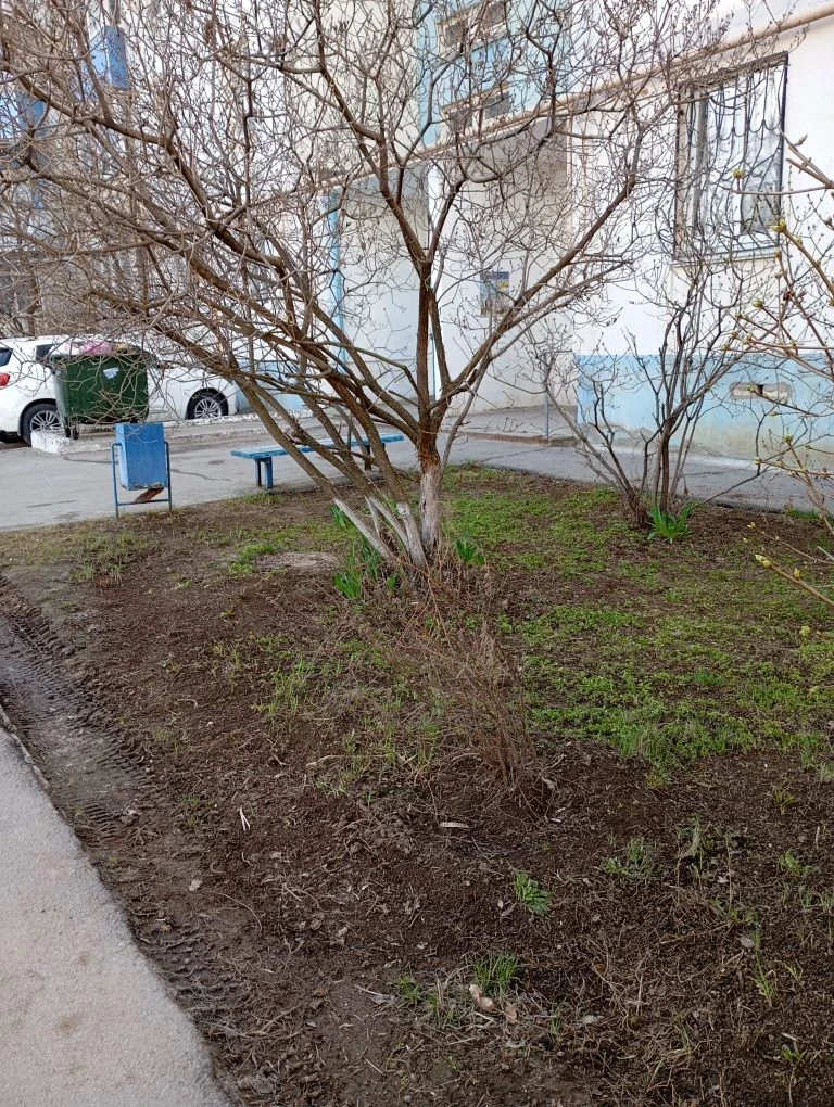 Приступили к проведению месячника по благоустройству на дворовых территориях МКД.