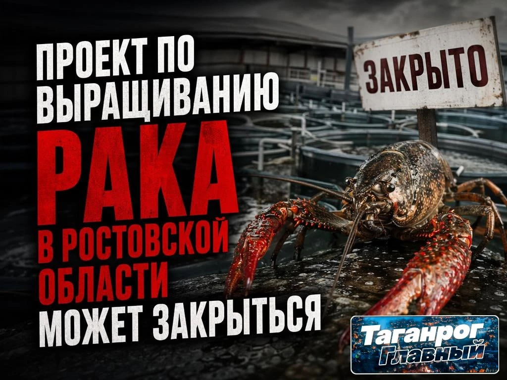 Проект по промышленному выращиванию австралийского красноклешнёвого рака в Ростовской области оказал