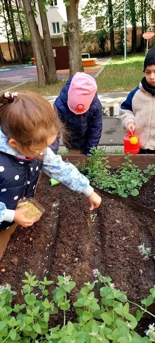 🌱 Юные огородники за работой  В дошкольном отделении прошёл «День посадок». Вместе с воспитателями р