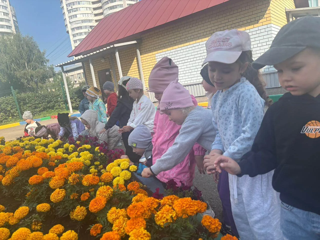 Лето — идеальное время для открытий и наблюдений за природой, а яркие цветущие растения...