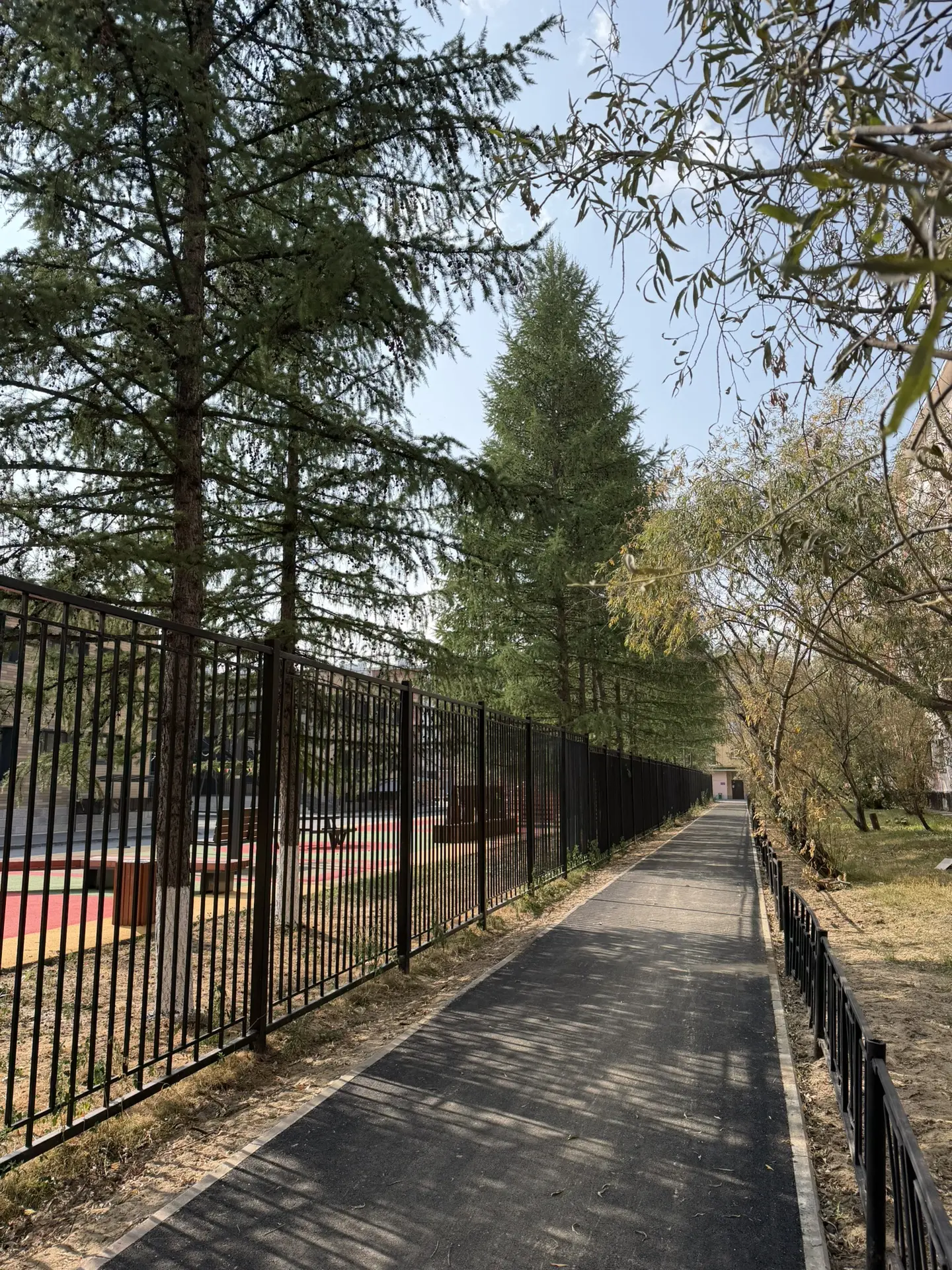 Новый комфортный маршрут для маленьких пешеходов