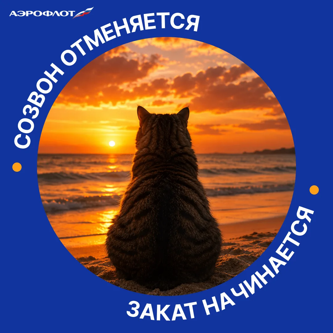 Изображение 5 к публикации «АЭРОФЛОТ»