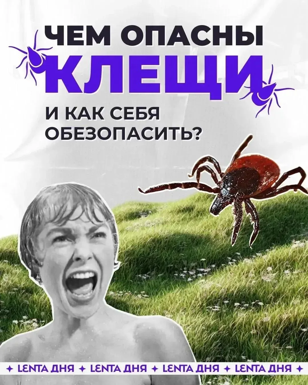 Чем опасны клещи и как от них защититься?