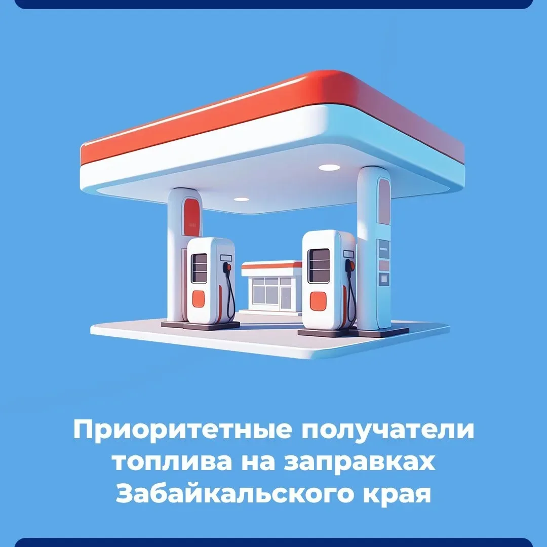 Собрали в карточках все о приоритетных группах для отпуска топлива