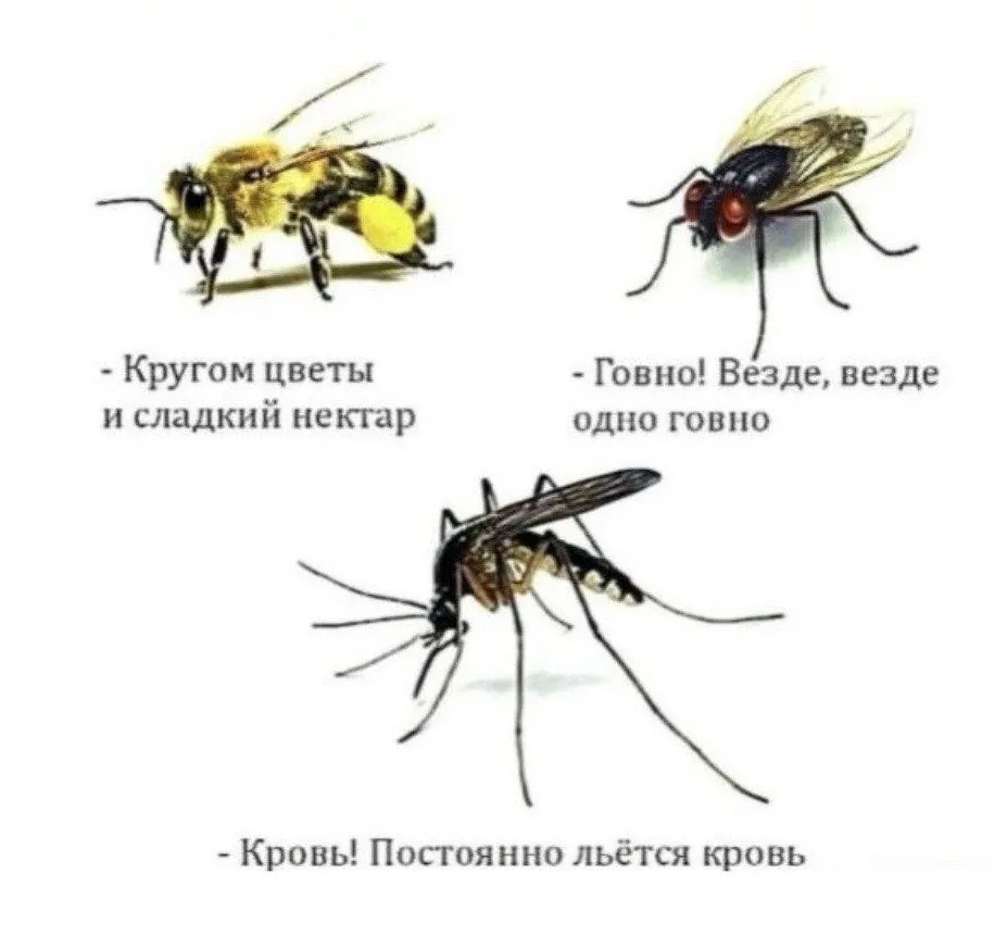 У каждого свой взгляд на мир