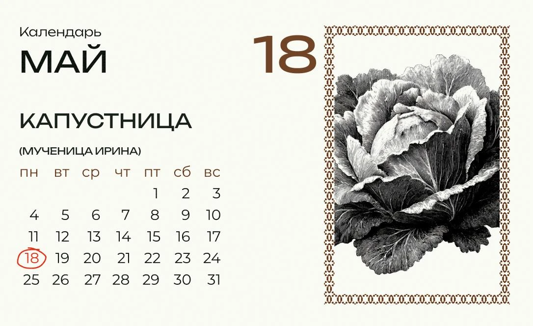 Сегодня вторая Ирина Рассадница, или Капустница.  Мучениц Ирин было несколько, и церковный календарь