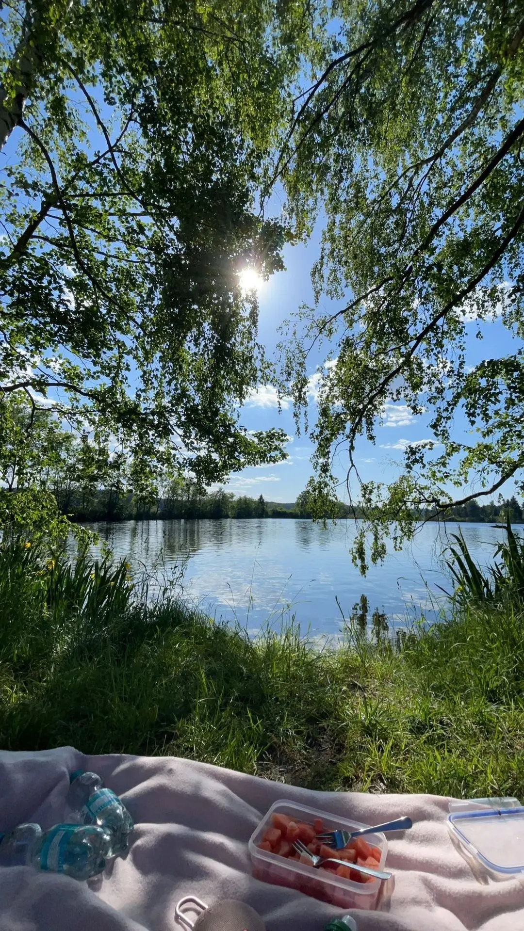 С первым днем лета, мои дорогие, и с международным днем защиты детей! ☀✨